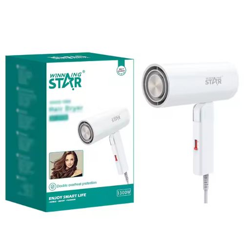 WINNING STAR Hair Blow Dryer Low Noise Compact Mini One Step Salon