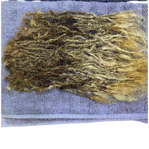 Kinky human hair sister locks 14inches/shoulder length