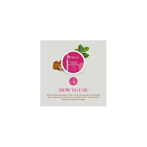 Mielle Organics Mongongo Oil Protein-Free Hydrating Conditioner