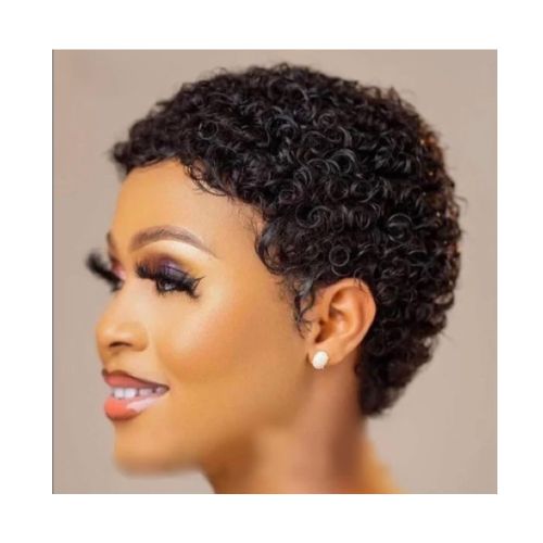 Short Afro Kinky Curly Black Human Hair Wig