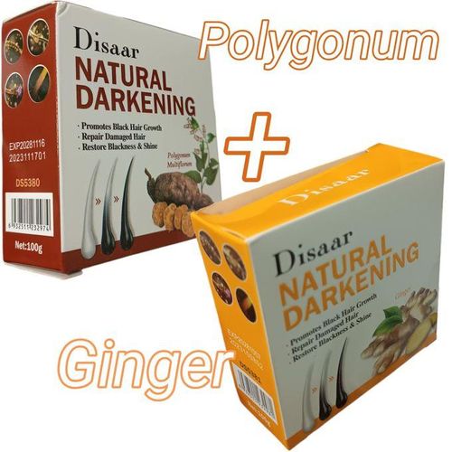 Disaar POLYGONUM + GINGER Darkening Soap NATURAL DARKENING Hair Soap