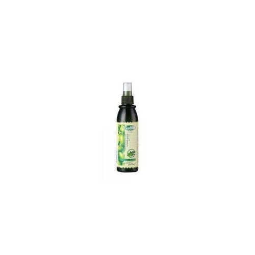 Ice Summer summer olive oil